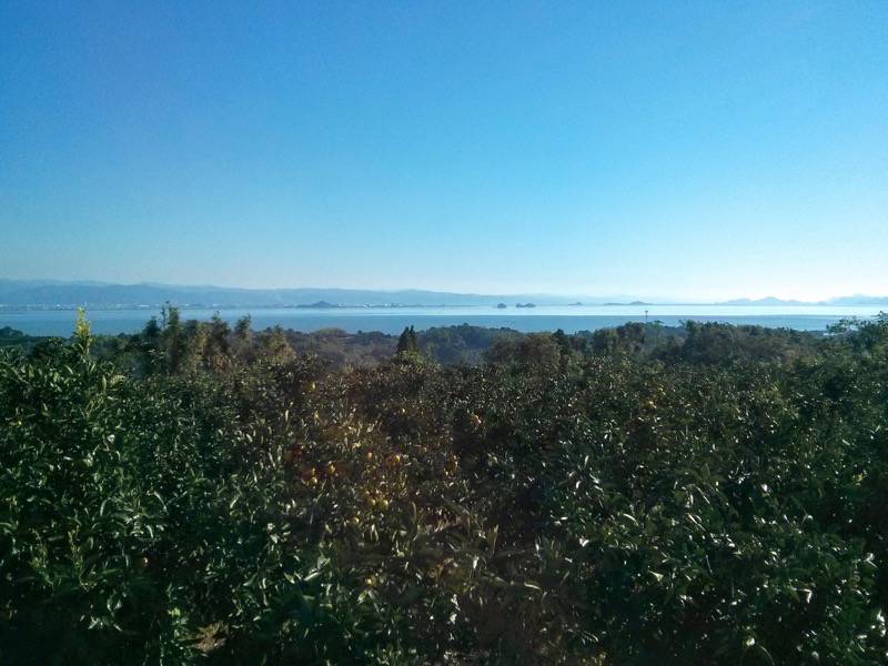 三角の山より八代海１