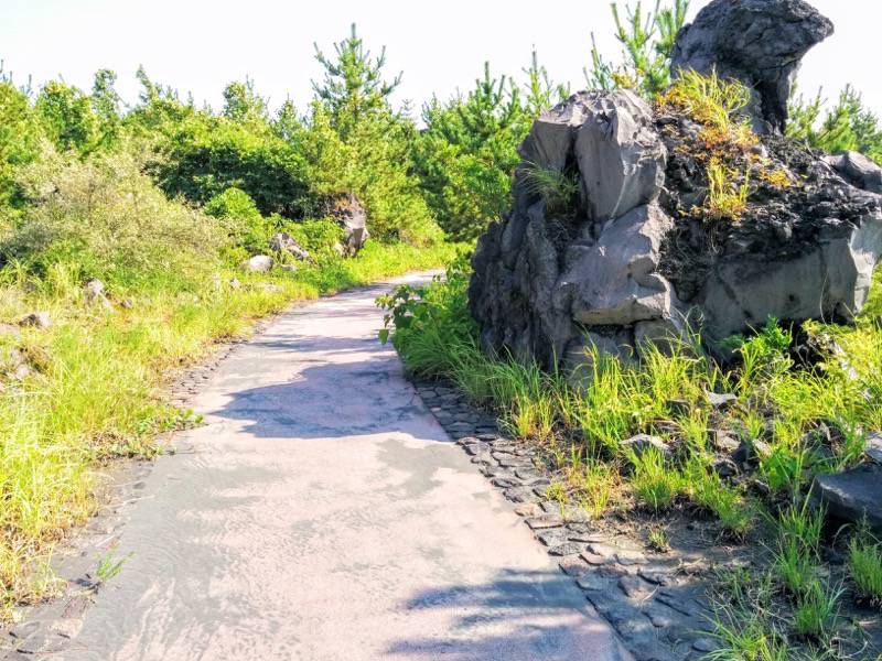 溶岩なぎさ遊歩道11.jpg 溶岩なぎさ遊歩道11