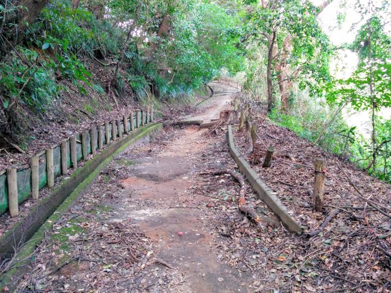 城山自然遊歩道19.jpg 城山自然遊歩道19