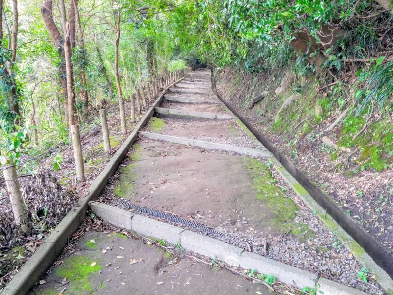 城山自然遊歩道17.jpg 城山自然遊歩道17