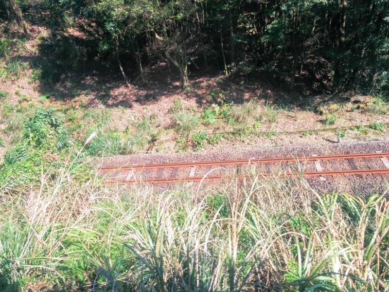 いさぶろう・しんぺい-矢岳〜真幸間1.jpg いさぶろう しんぺい 矢岳 真幸間1