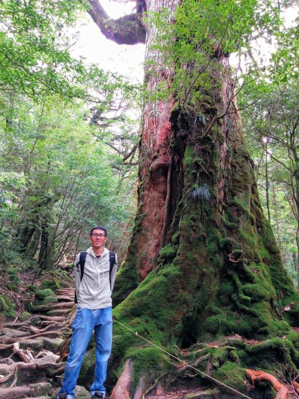 白谷雲水峡57七本杉記念写真.jpg 白谷雲水峡57七本杉記念写真