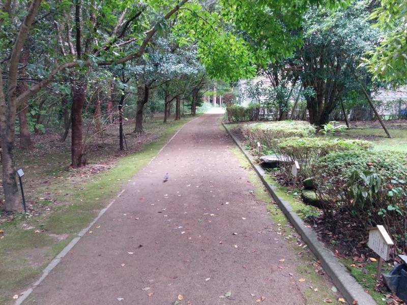 杜の小道 民家から博物館 ２