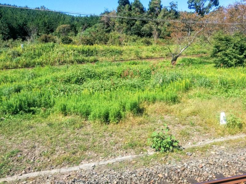 いさぶろう しんぺい 人吉 大畑間４