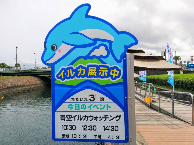 青空イルカウォッチング-時間案内.jpg 青空イルカウォッチング 時間案内