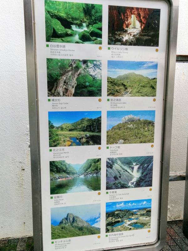 屋久島空港 観光名所