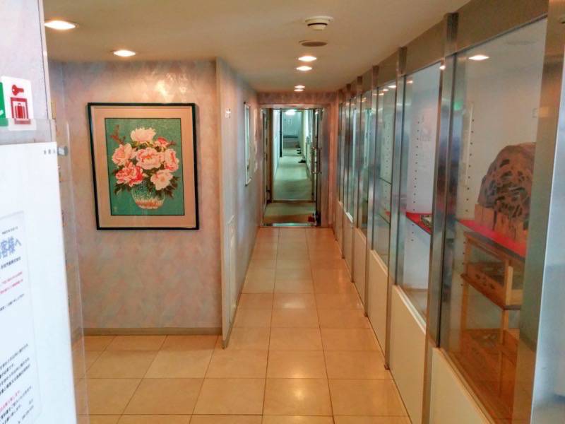 フェリー屋久島2 船内１F２等客室