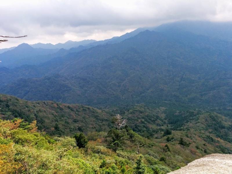 白谷雲水峡９１太鼓岩