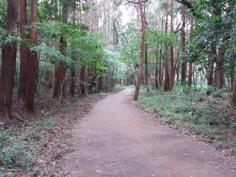 西側の道 博物館から護国神社 １