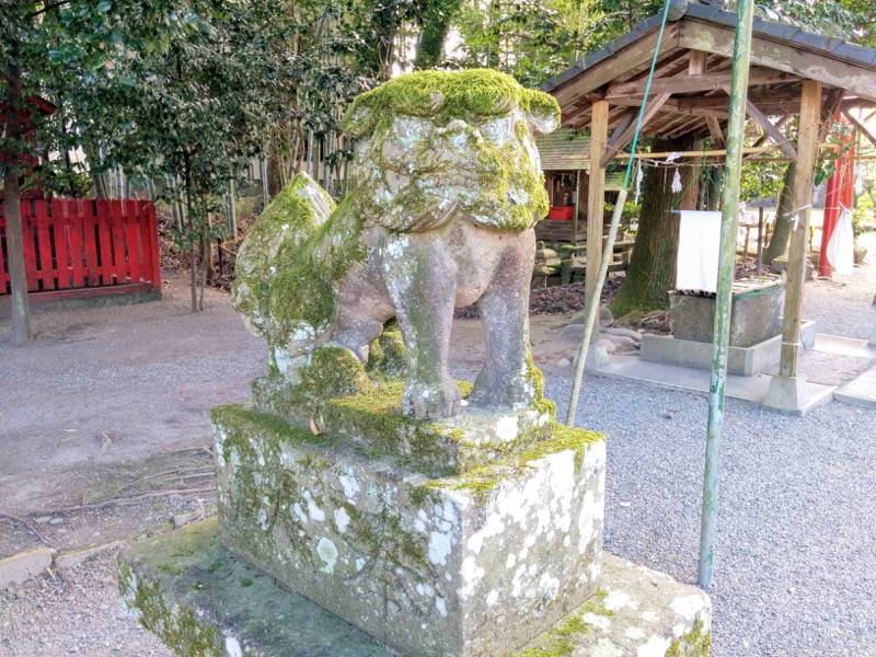 老神神社 狛犬２