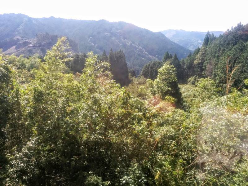 いさぶろう しんぺい 人吉 大畑間１