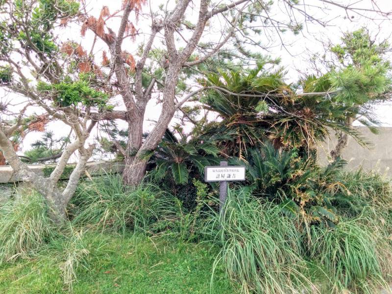 屋久島灯台-植樹.jpg 屋久島灯台 植樹