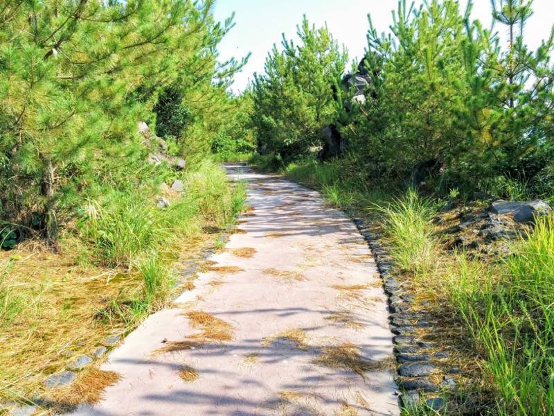 溶岩なぎさ遊歩道14.jpg 溶岩なぎさ遊歩道14