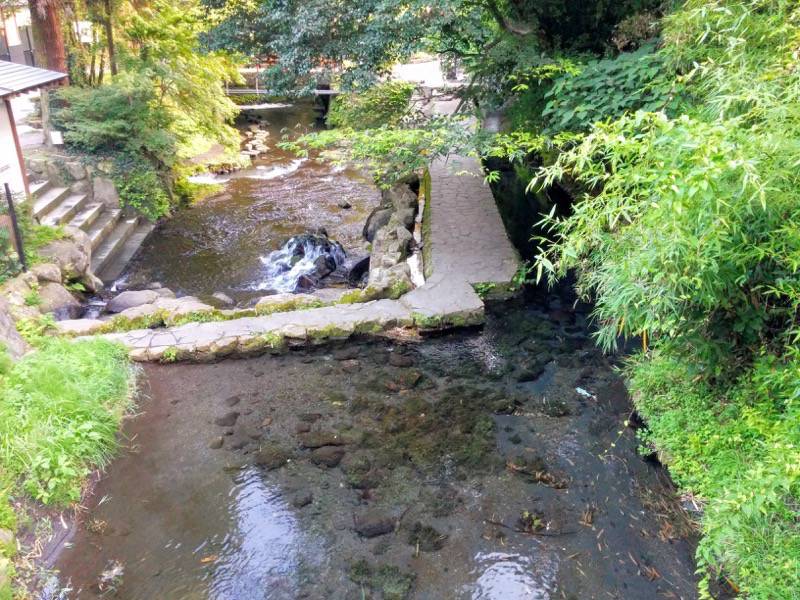 白川水源 付近の川１