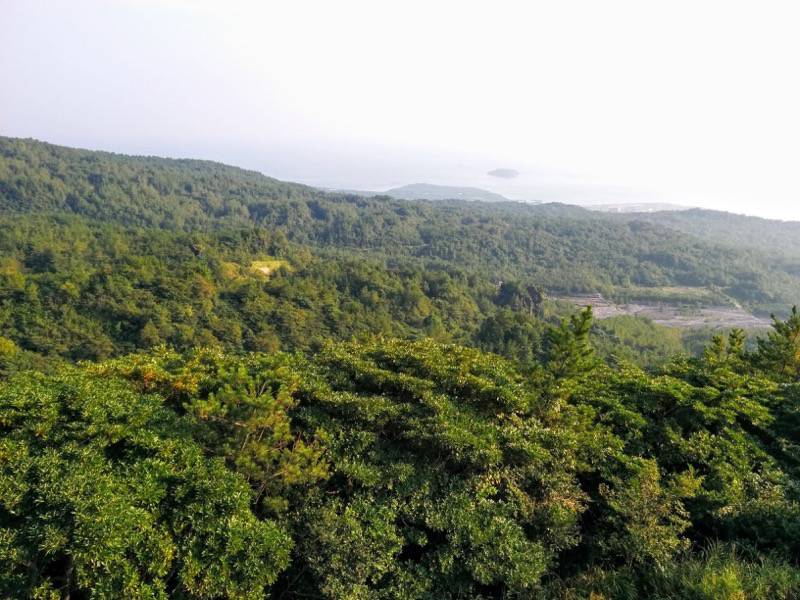 湯之平展望台 山肌２