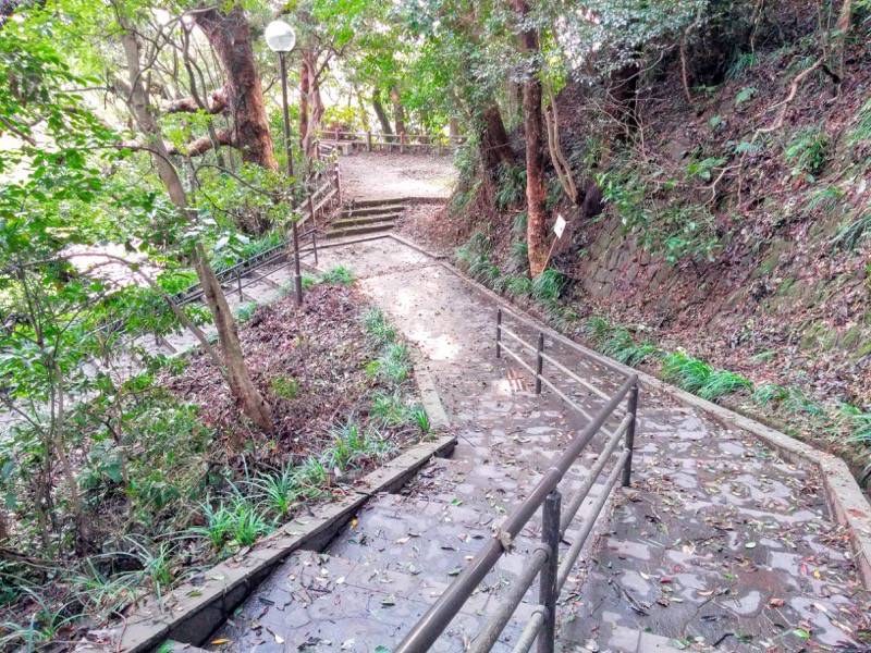 東福寺城跡21.jpg 東福寺城跡21