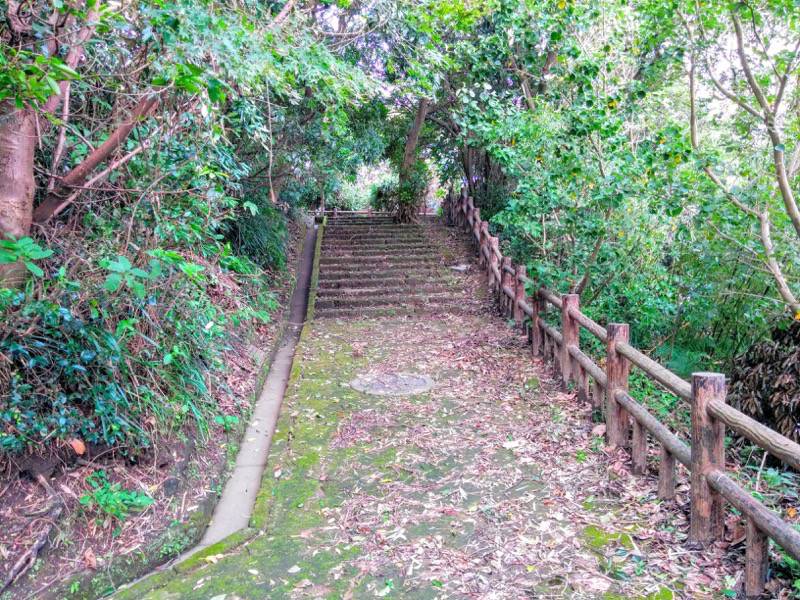 東福寺城跡5.jpg 東福寺城跡5