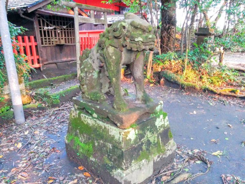 多賀神社 狛犬角あり