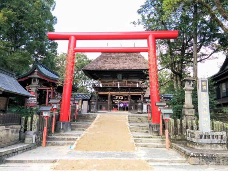 青井阿蘇神社-鳥居.jpg 青井阿蘇神社 鳥居