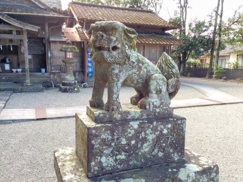 老神神社 狛犬１