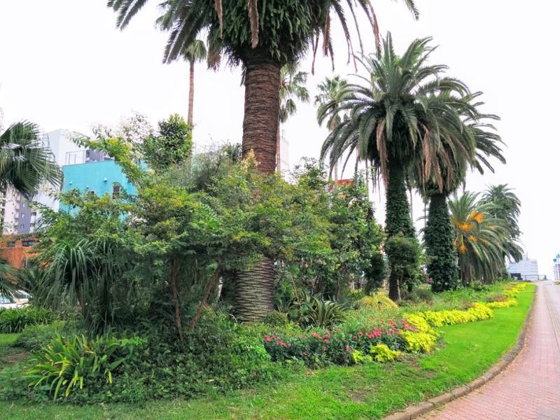 橘公園 公園の付近