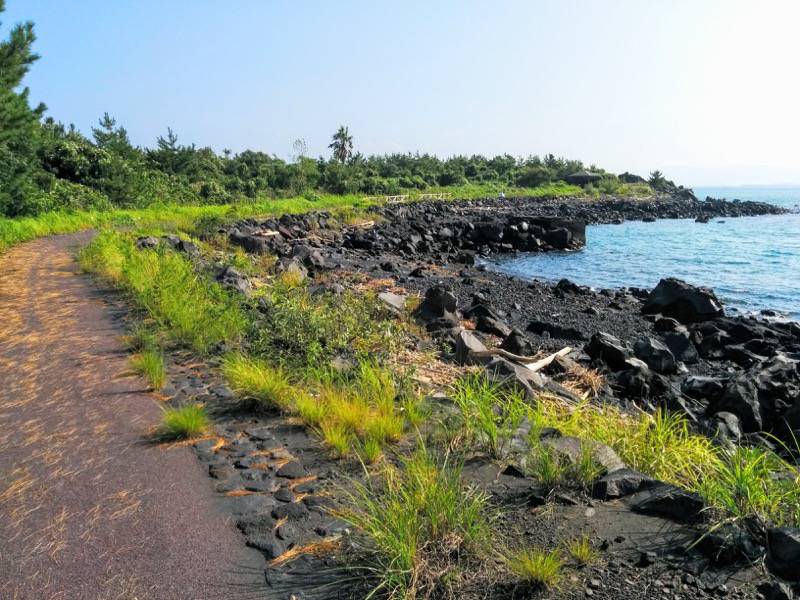 溶岩なぎさ遊歩道21.jpg 溶岩なぎさ遊歩道21