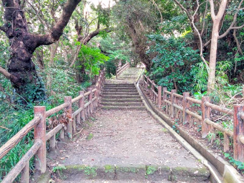 東福寺城跡9.jpg 東福寺城跡9