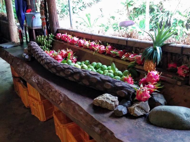 屋久島フルーツガーデン 果実庵３