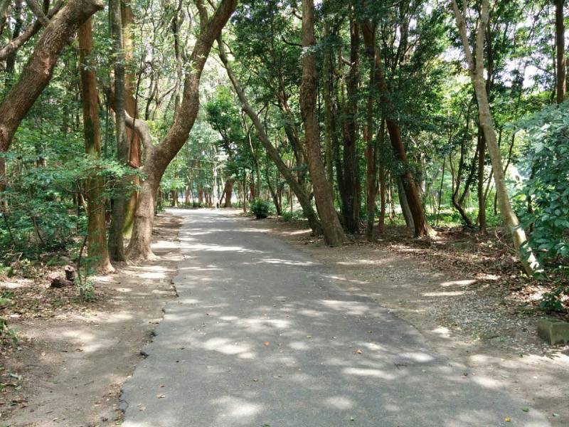 宮崎神宮 東側の道