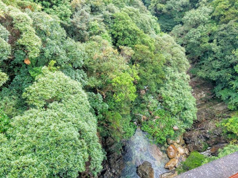 竜神の滝 滝の下の川１