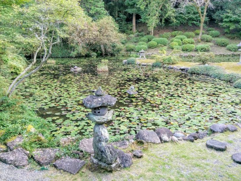 永国寺 幽霊がでた池