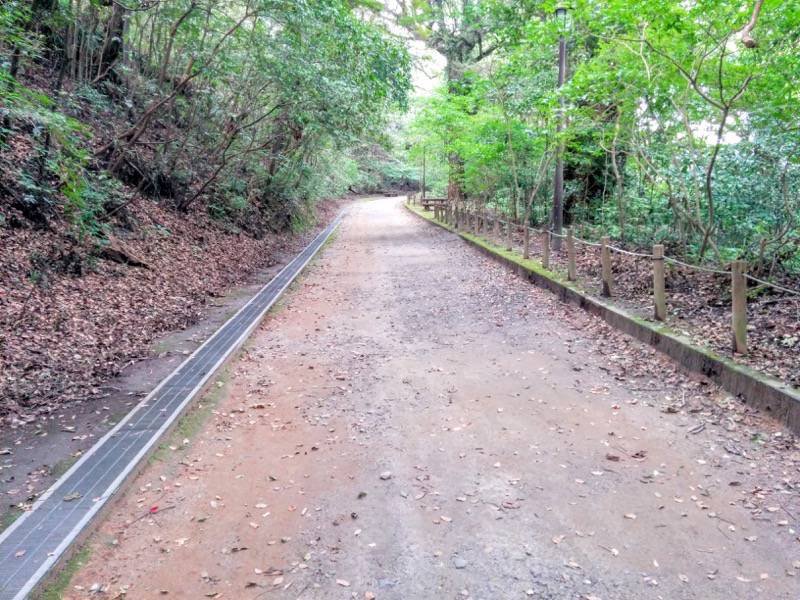 西郷隆盛南州洞窟 城山展望台からの道１