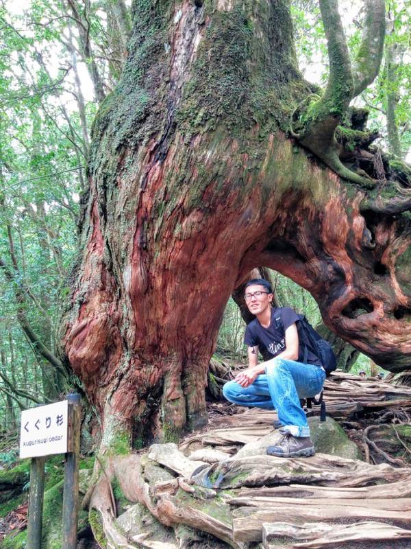 白谷雲水峡52くぐり杉記念写真.jpg 白谷雲水峡52くぐり杉記念写真