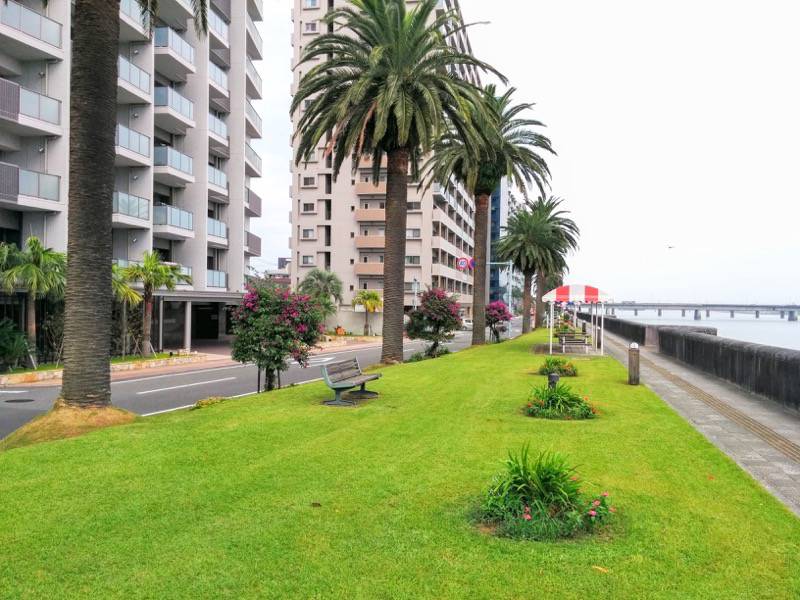 橘公園 園内１１