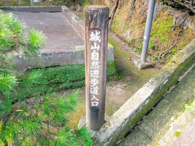 城山自然遊歩道6.jpg 城山自然遊歩道6