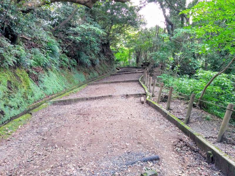 城山自然遊歩道24.jpg 城山自然遊歩道24