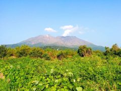 赤水展望広場は長渕剛オールナイトコンサートの地｜鹿児島市桜島