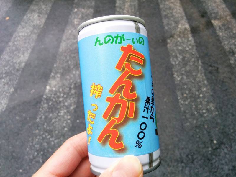 千尋の滝 たんかんジュース