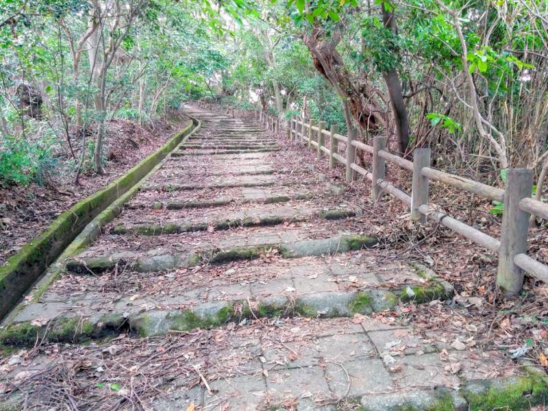 城山自然遊歩道20.jpg 城山自然遊歩道20