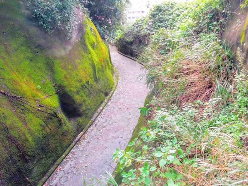 多賀山公園 園内３