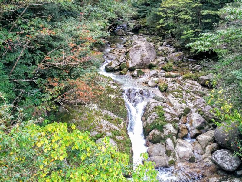 白谷雲水峡１１０さつき吊橋より