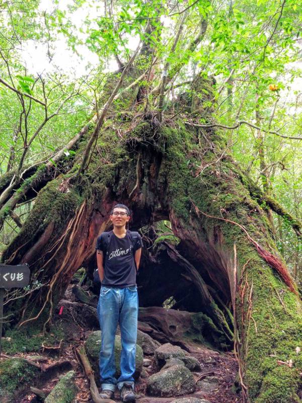 白谷雲水峡４９二代くぐり杉記念写真