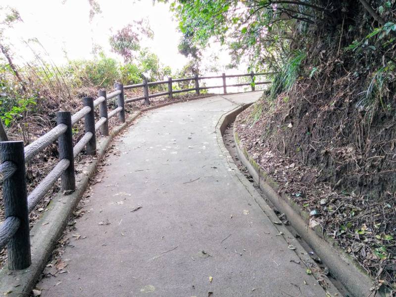 城山自然遊歩道12.jpg 城山自然遊歩道12