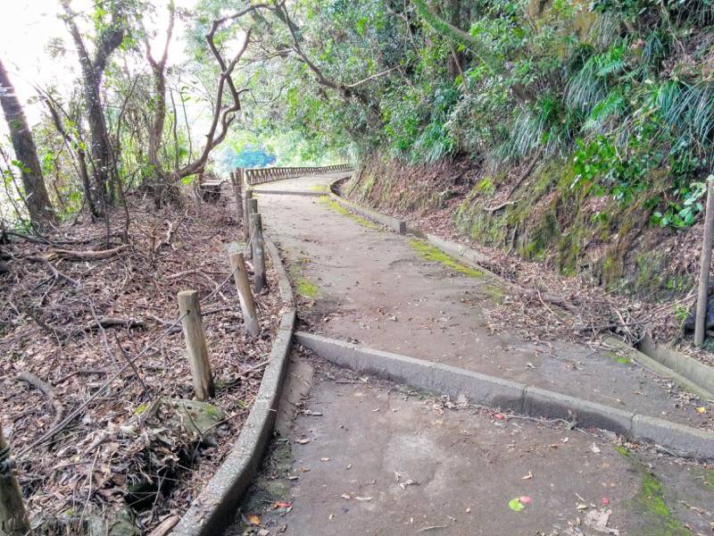 城山自然遊歩道13.jpg 城山自然遊歩道13