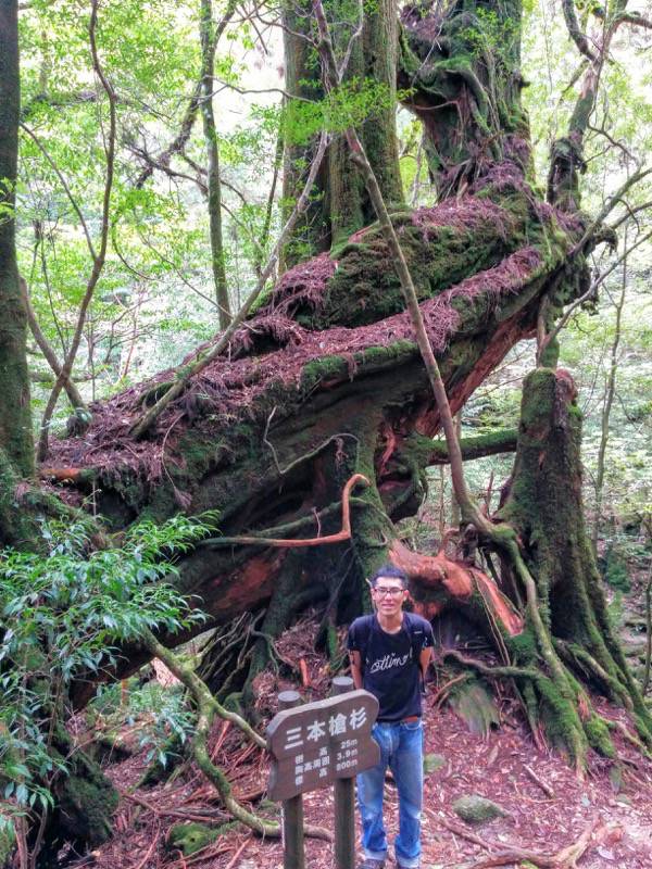 白谷雲水峡３１三本槍杉記念写真