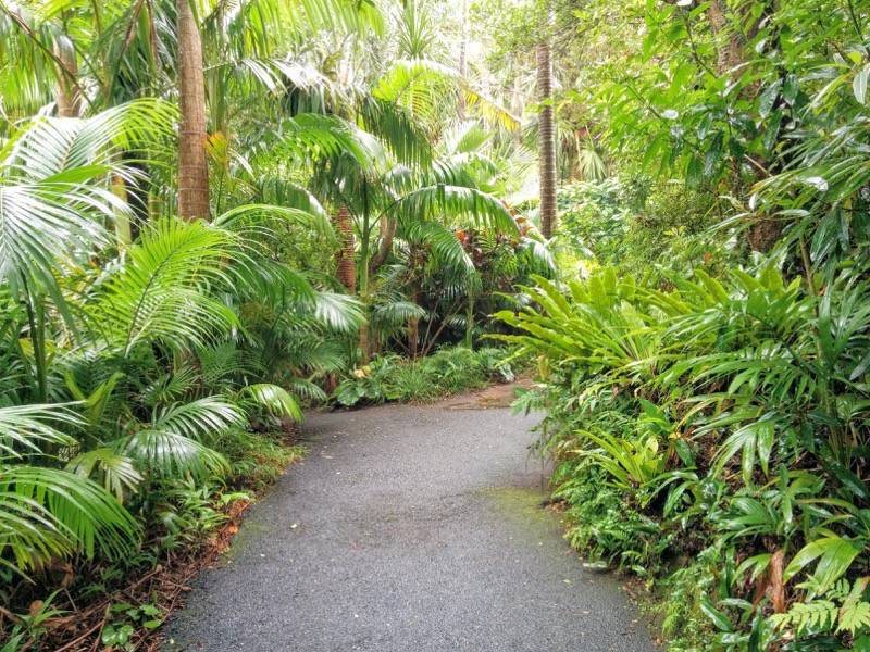 屋久島フルーツガーデン 果実庵へ１