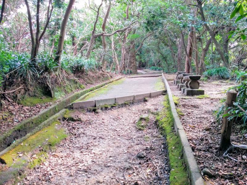 城山自然遊歩道21.jpg 城山自然遊歩道21