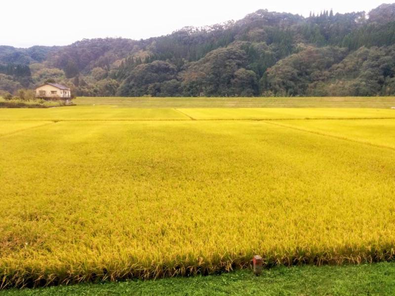 SL人吉 渡 人吉間