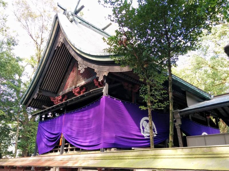 青井阿蘇神社-本殿.jpg 青井阿蘇神社 本殿