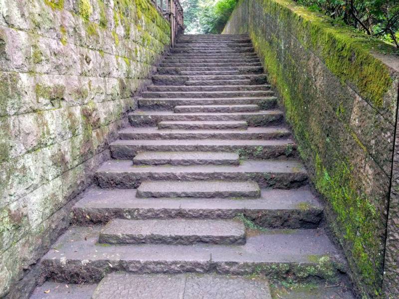 仙巌園-江南竹林から水道橋へ続く階段.jpg 仙巌園 江南竹林から水道橋へ続く階段